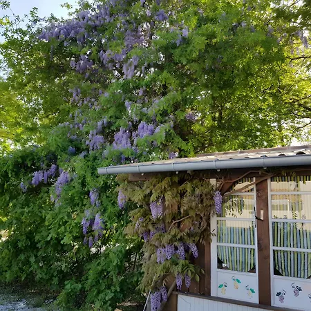 Le Cabassou Du Medoc Tatil Evi *